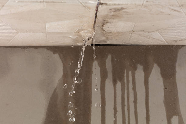 Professional Structural Drying technician working in Port Chester, NY